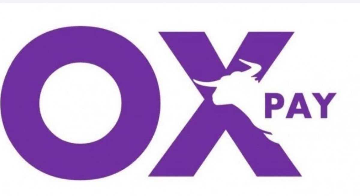 OxPay Financial proposes to issue 35.4 mil new shares to existing shareholder for 1.2 cents apiece